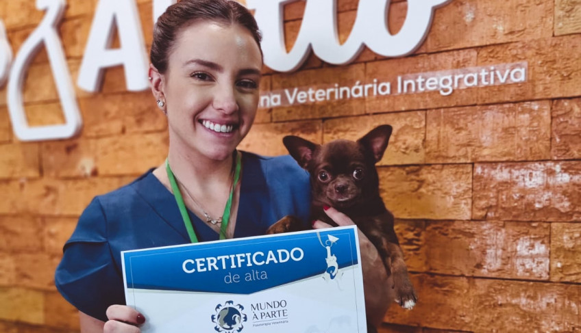 ASN Distrito Federal - Agência Sebrae de Notícias