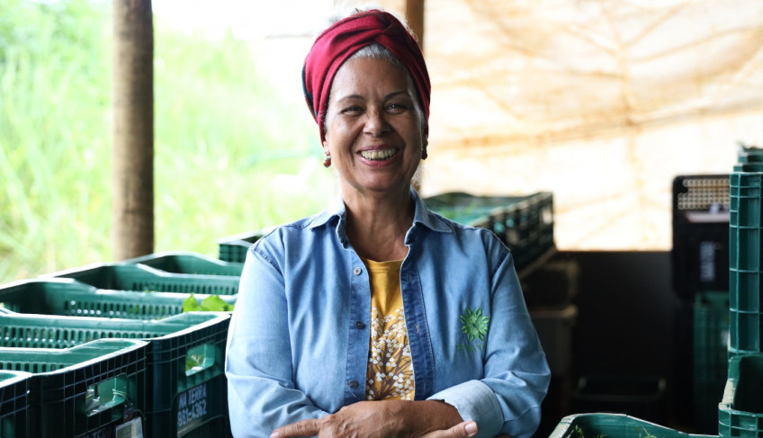 ASN Distrito Federal - Agência Sebrae de Notícias