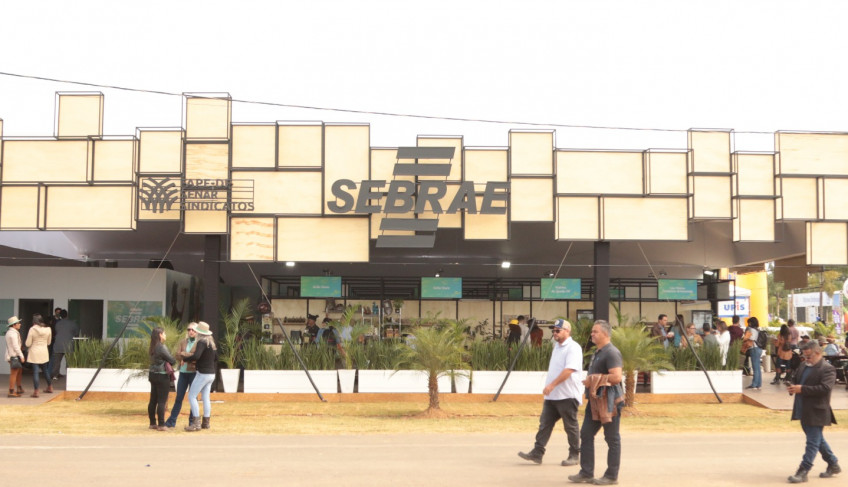ASN Distrito Federal - Agência Sebrae de Notícias