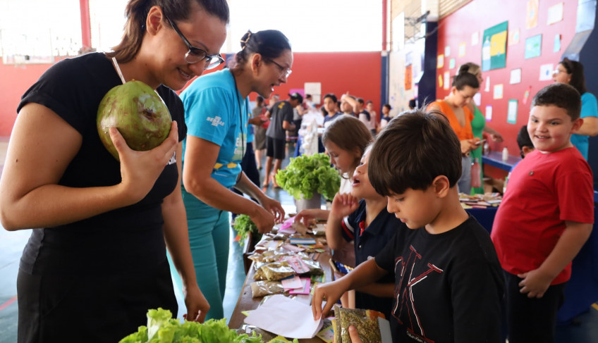 ASN Distrito Federal - Agência Sebrae de Notícias
