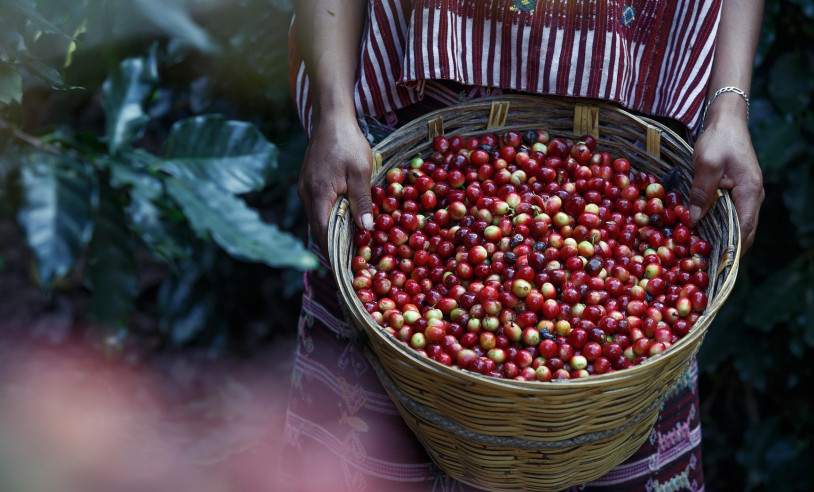 ASN Distrito Federal - Agência Sebrae de Notícias