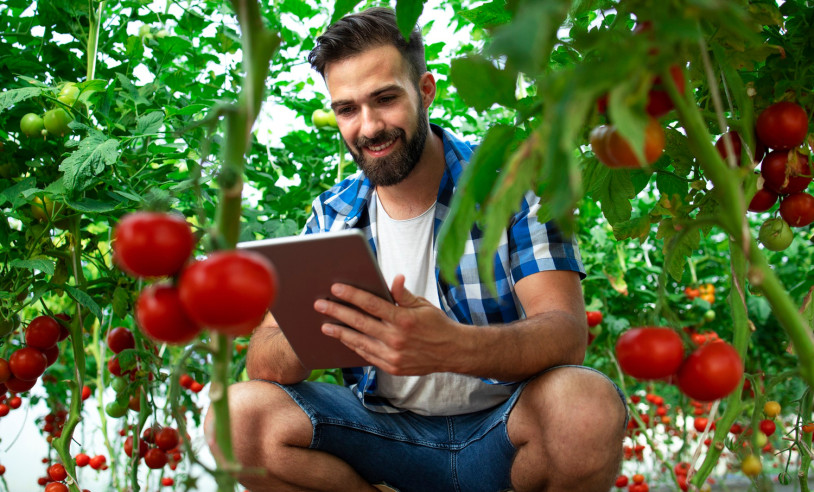 ASN Distrito Federal - Agência Sebrae de Notícias