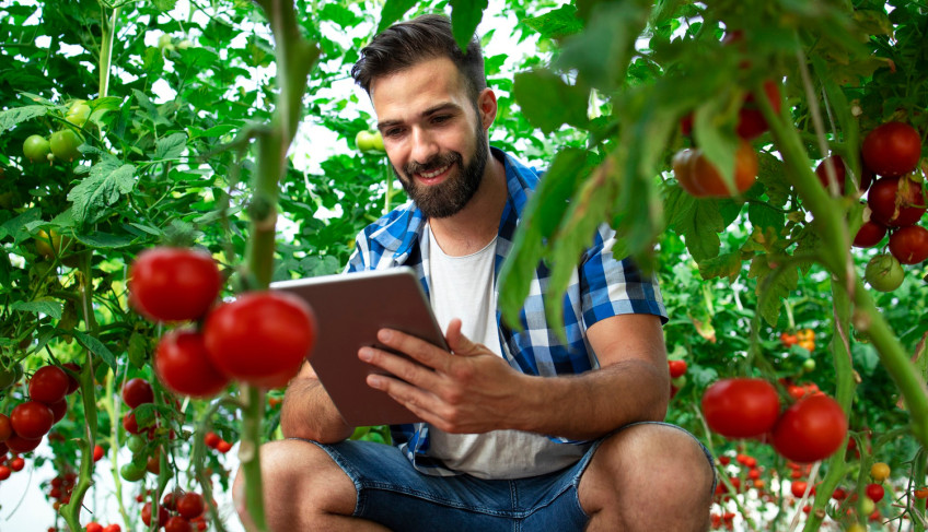 ASN Distrito Federal - Agência Sebrae de Notícias