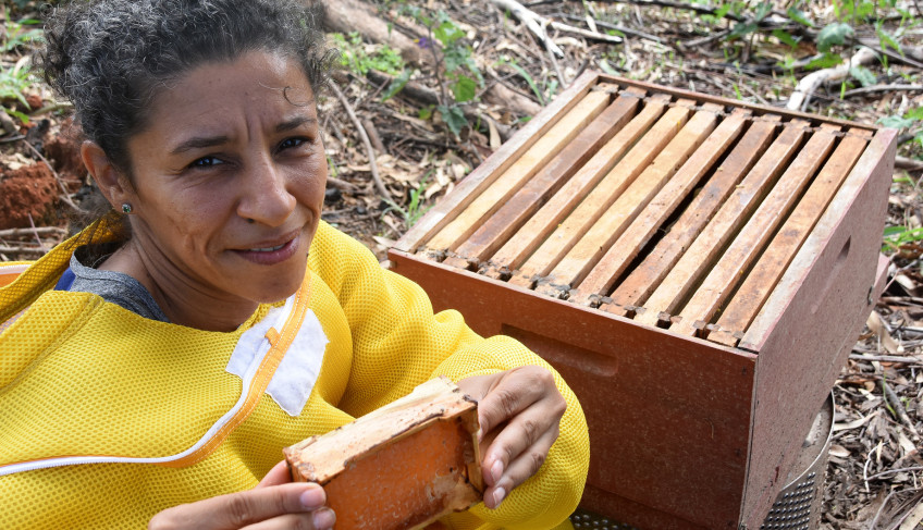 ASN Distrito Federal - Agência Sebrae de Notícias