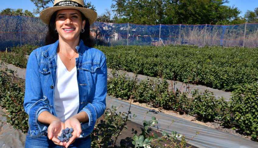 ASN Distrito Federal - Agência Sebrae de Notícias